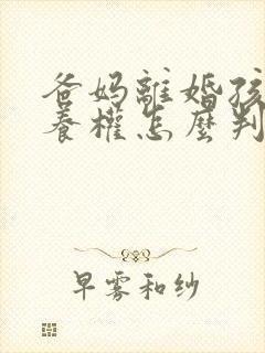 爸妈离婚孩子抚养权怎么判两个孩子