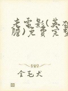 老电影(英雄虎胆)免费完整版