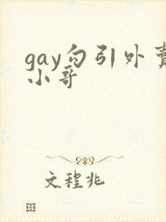 gay勾引外卖小哥