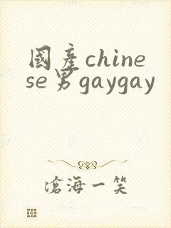 国产chinese男gaygay