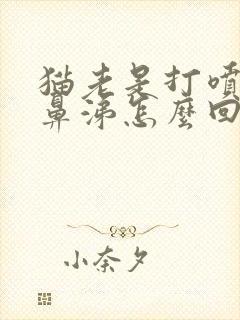 猫老是打喷嚏流鼻涕怎么回事封面