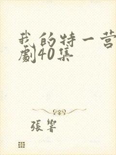 我的特一营电视剧40集