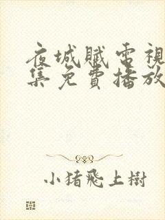 夜城赋电视剧全集免费播放