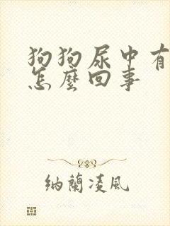 狗狗尿中有血是怎么回事