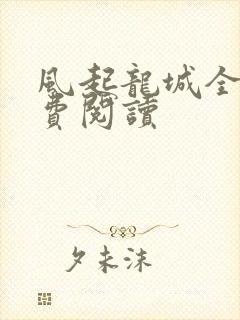 风起龙城全本免费阅读