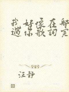 我好像在哪里见过你歌词完整版