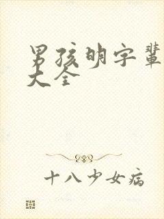 男孩明字辈取名大全