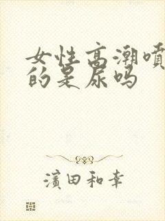 女性高潮喷出来的是尿吗