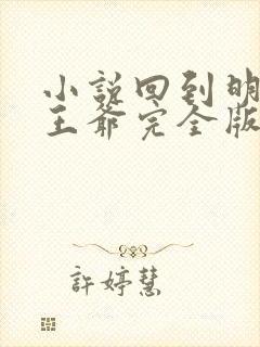 小说回到明朝当王爷完全版封面