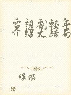 电视剧轻年剧情介绍大结局免费观看