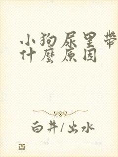 小狗尿里带血是什么原因封面