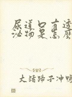 尿道口有透明分泌物是怎么回事