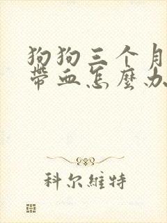 狗狗三个月拉稀带血怎么办