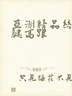 亚洲精品丝袜美腿高跟