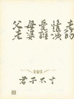 父母爱情老丁的老婆谁演的