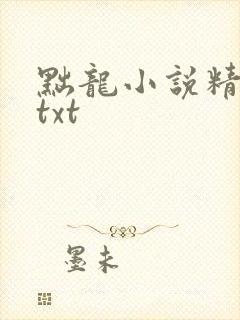 黜龙小说精校版txt封面