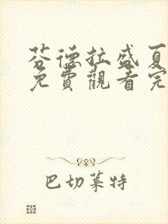 芬德拉盛夏短剧免费观看完整版