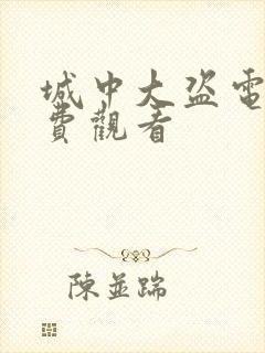 城中大盗电影免费观看