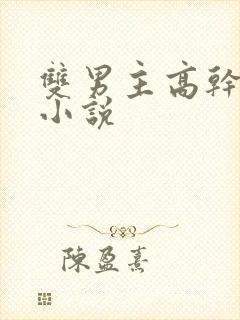 双男主高干短篇小说封面