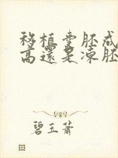 移植囊胚成功率高还是冻胚成功率高