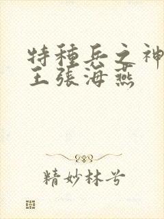 特种兵之神级兵王张海燕