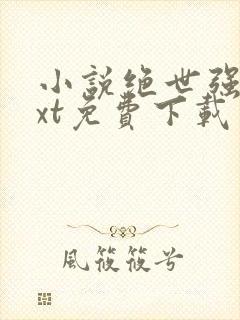 小说绝世强龙txt免费下载