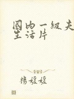 国内一级夫妻性生活片