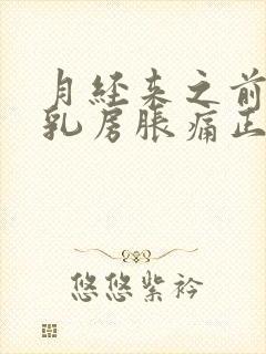 月经来之前几天乳房胀痛正常吗