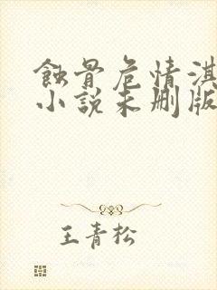 蚀骨危情淇老游小说未删版txt