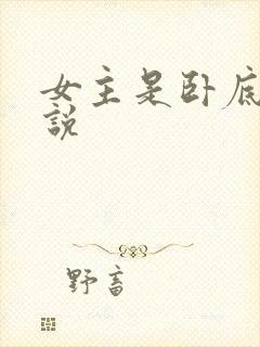 女主是卧底的小说