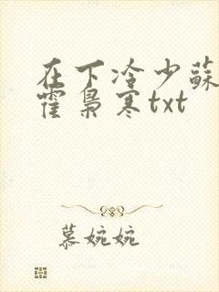 在下冷少苏婉,霍枭寒txt