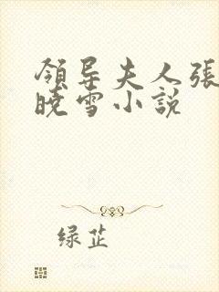 领导夫人张月李晓雪小说