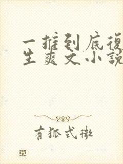 一推到底复仇重生爽文小说