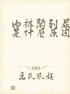 内裤闻到尿骚味是什么原因