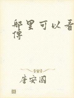 哪里可以看藏海传封面