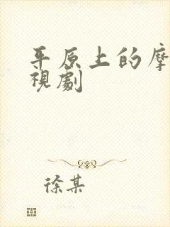 平原上的摩西电视剧