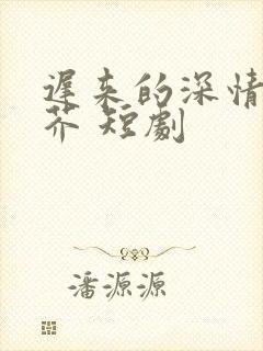 迟来的深情如草芥 短剧封面