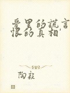 爱里的谎言,仇恨的真相'封面