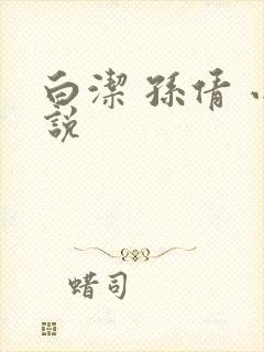 白洁 孙倩 小说封面