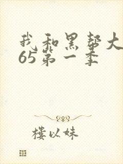 我和黑帮大佬365第一季