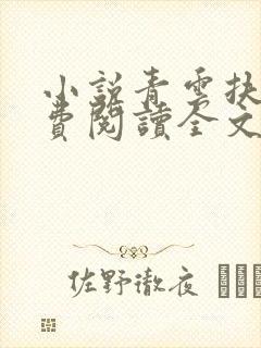 小说青云扶摇免费阅读全文封面