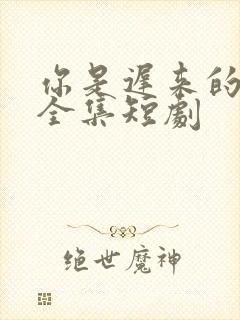 你是迟来的欢喜全集短剧