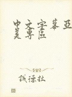 中文字幕亚洲欧美专区