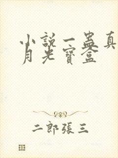 小说一蛊真人之月光宝盒