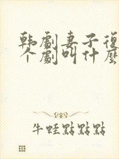 韩剧妻子复仇那个剧叫什么