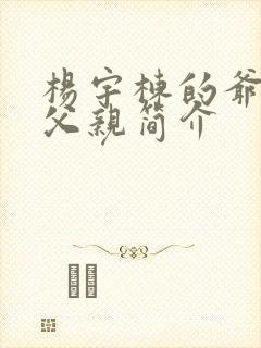 杨宇栋的爷爷和父亲简介封面