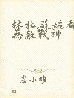 林北,苏婉都市无敌战神