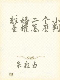 离婚二个小孩抚养权怎么判