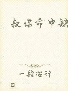 叔你命中缺我