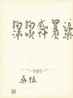 狗狗感冒流清鼻涕吃什么药好得快